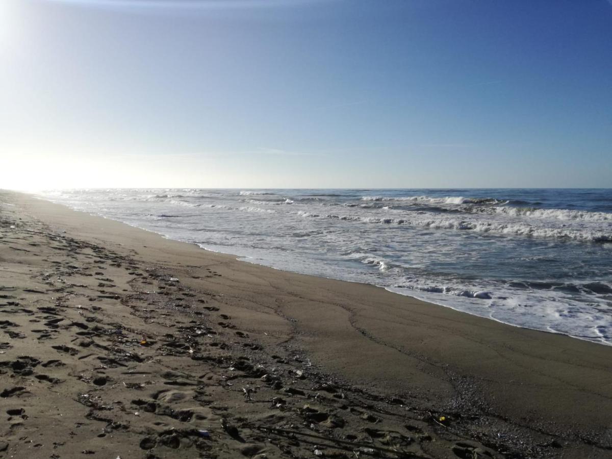 Hotel Sogno Viareggio Eksteriør bilde